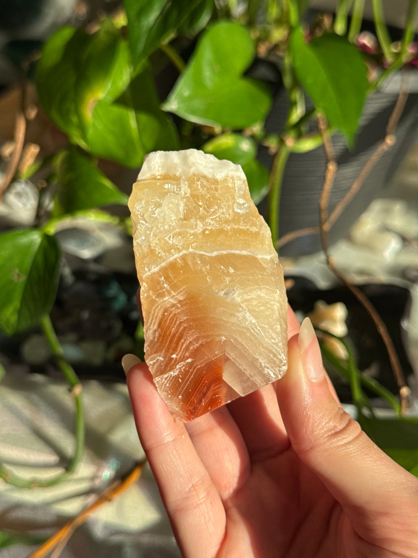 Peachy Banded Tri-Color Mexican Calcite C