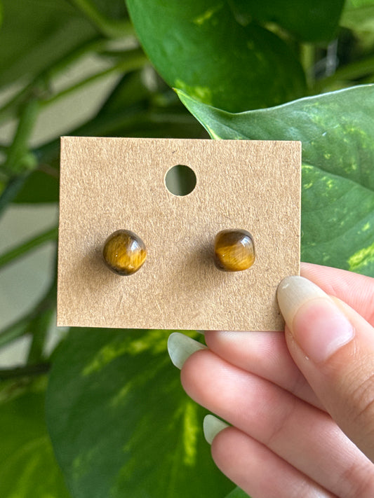 Tigers Eye Stud Earrings