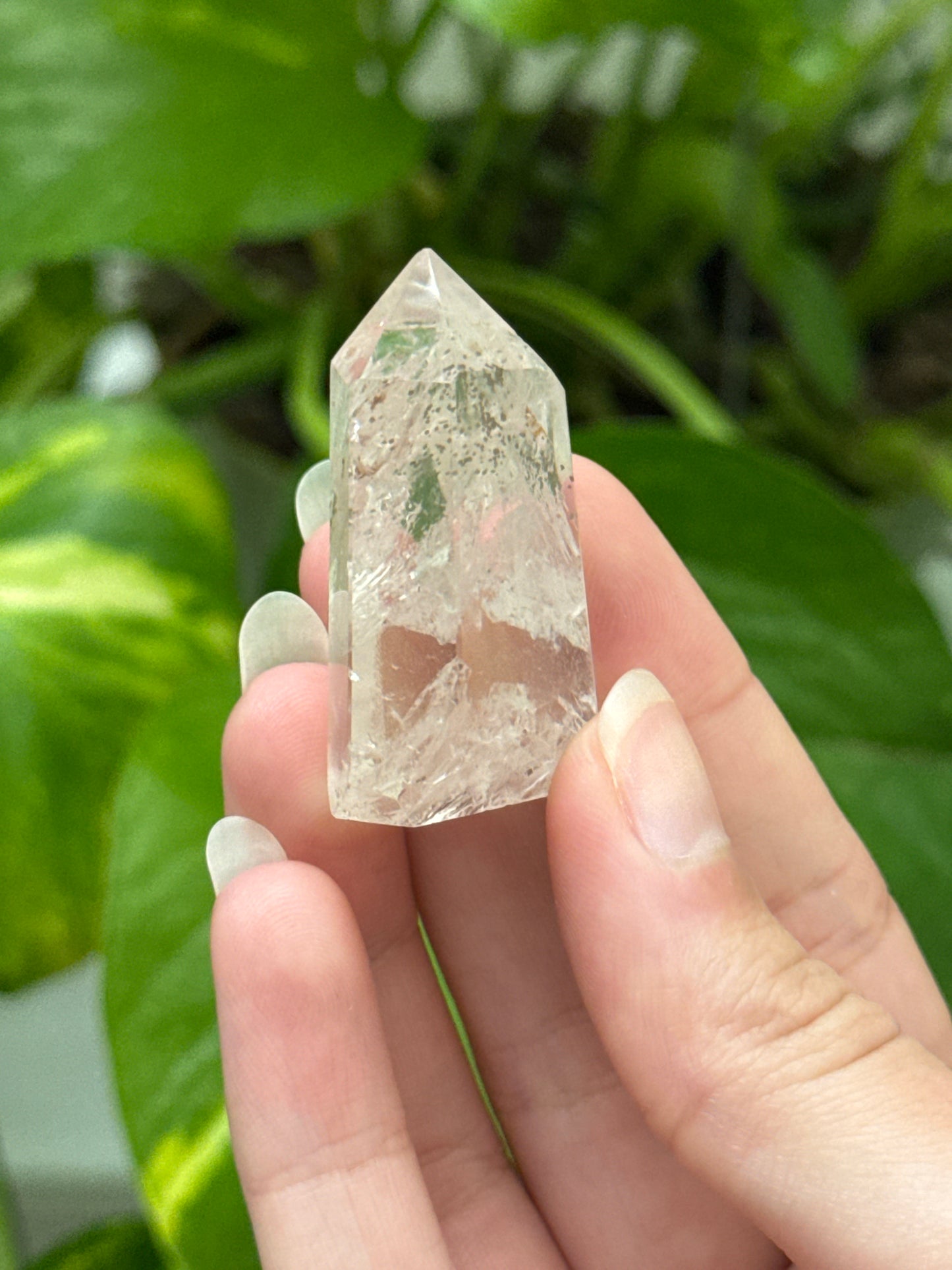 Pyrite in Quartz Tower | You Pick