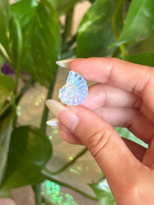 Opalite Cute Shell