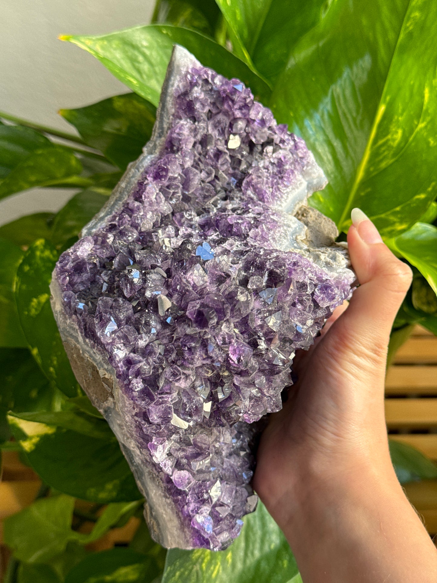 Large Amethyst Cluster