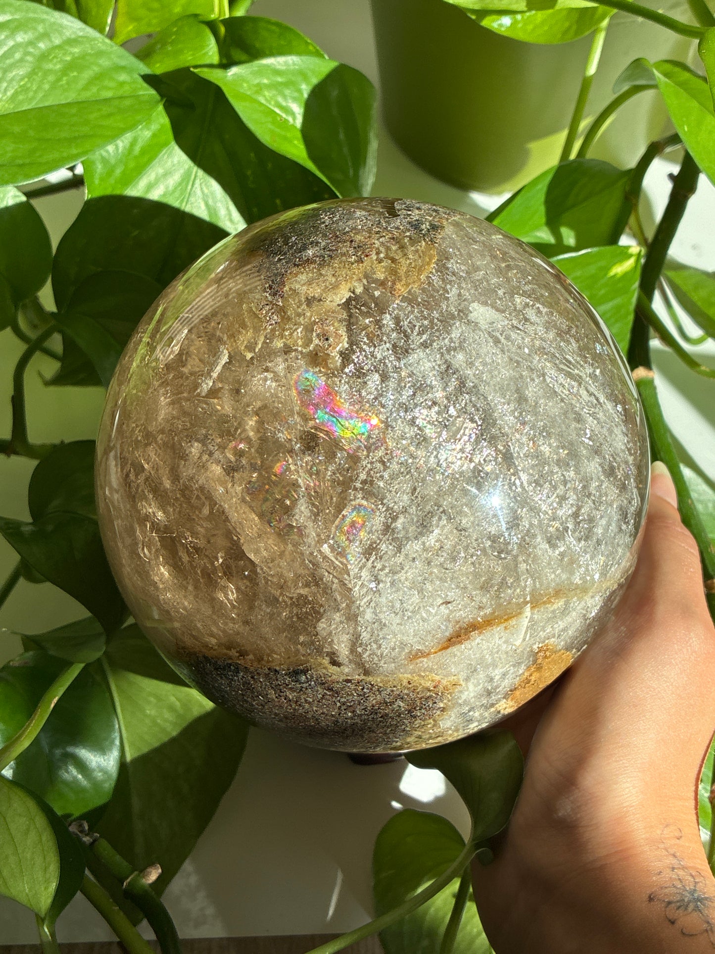 XL Statement Smokey Garden Quartz Sphere with insane Sparkles & Rainbows
