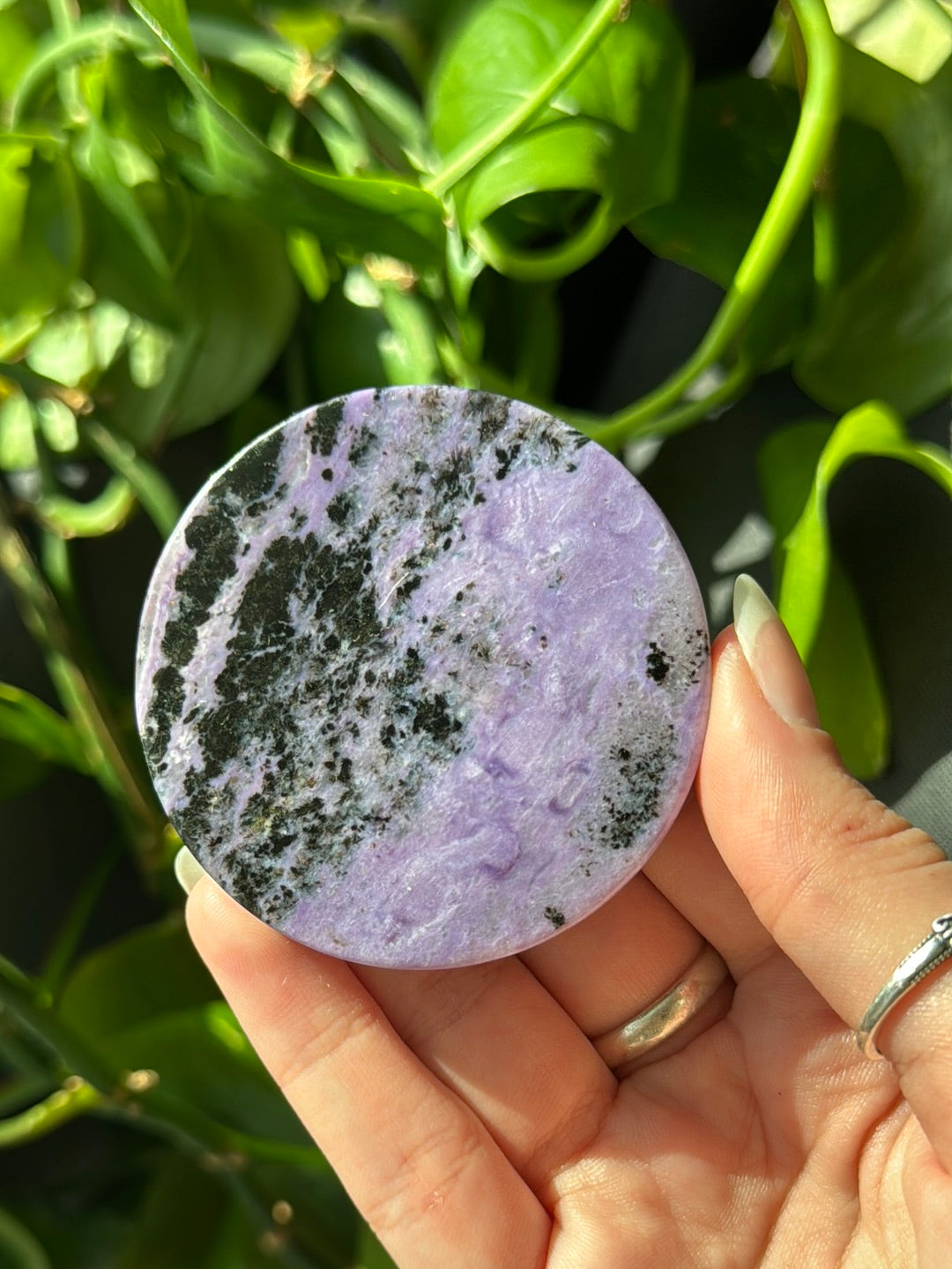 Charoite Disk