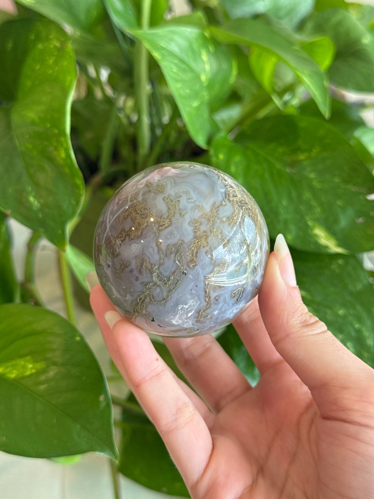 Moody Blue Moss Agate Sphere with Dendrites