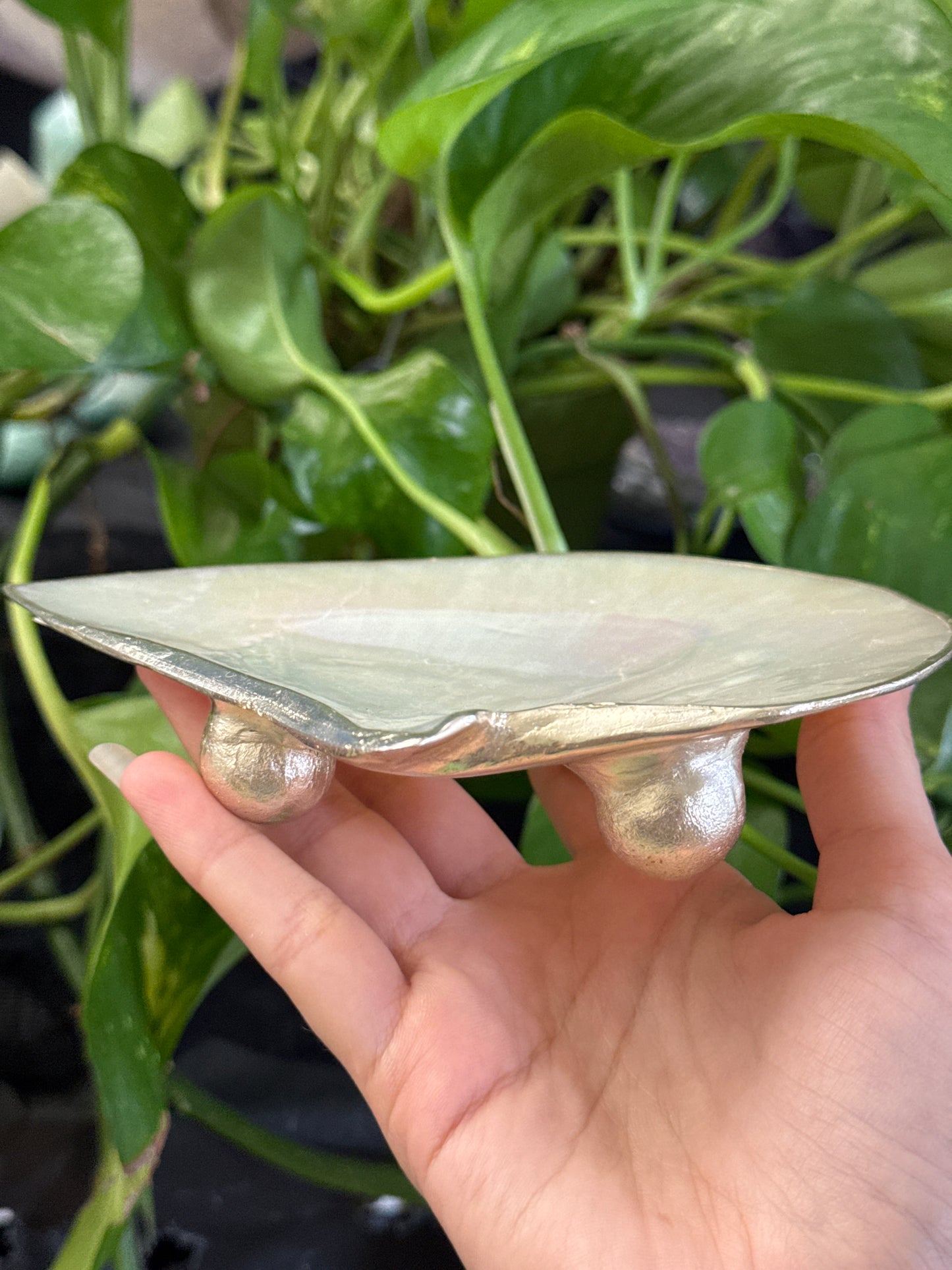 Iridescent Shell Dish A