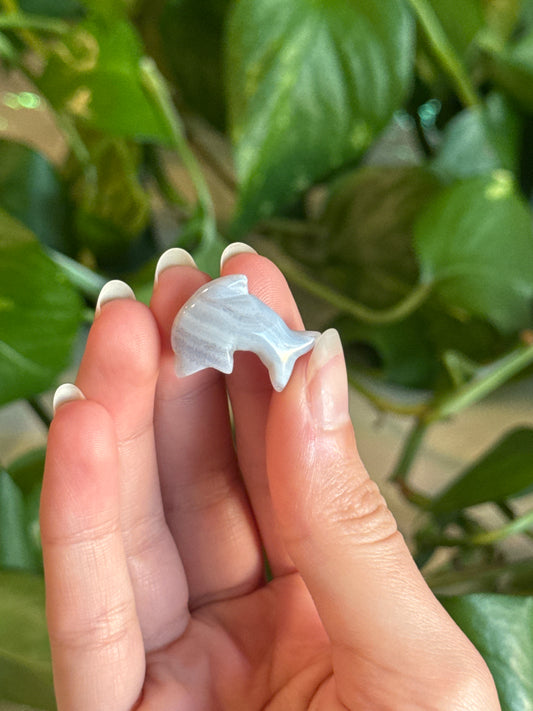 Blue Agate Mini Dolphin Carving