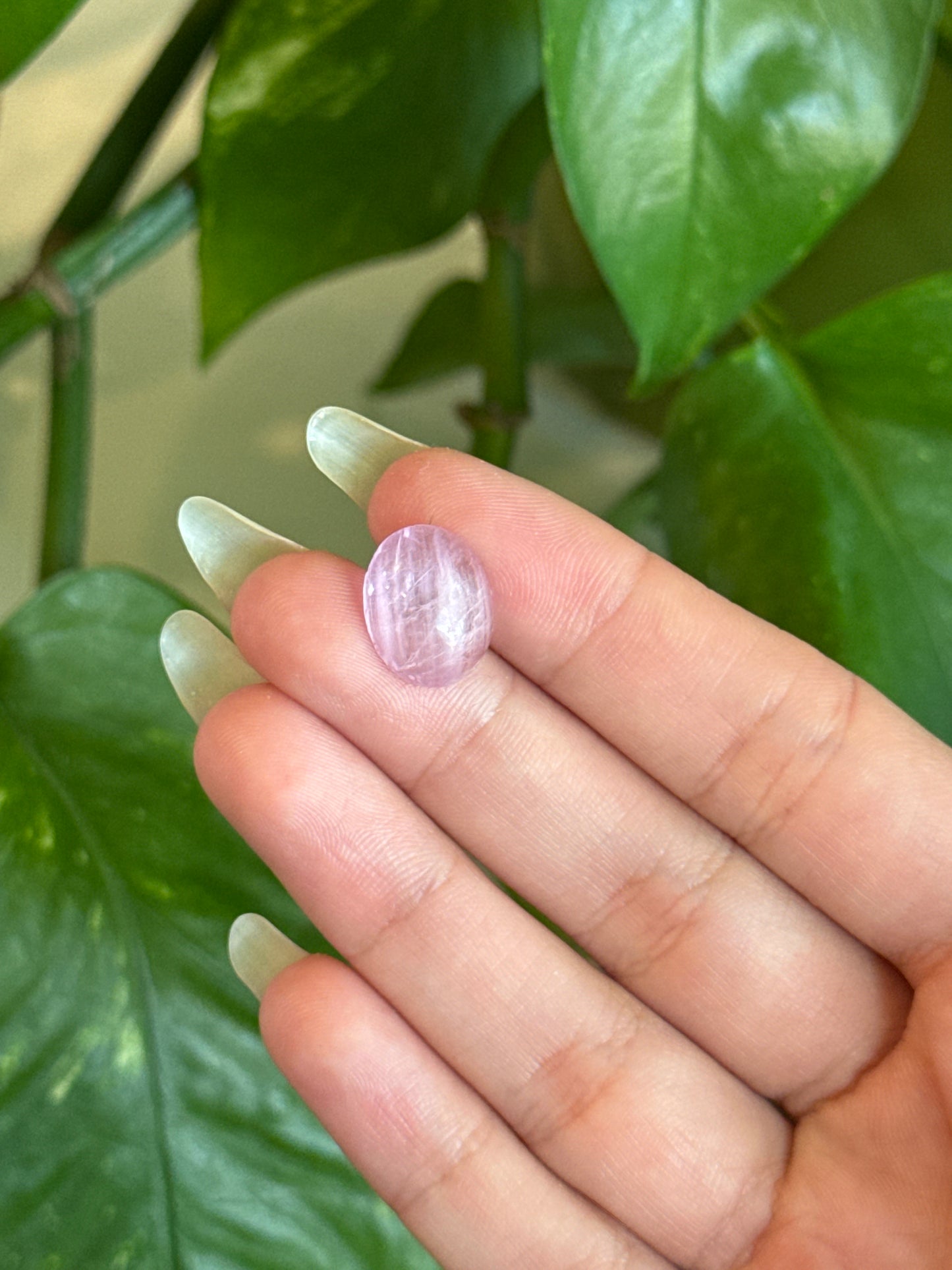 High Grade Flashy Gem Kunzite with Cats Eye Cab