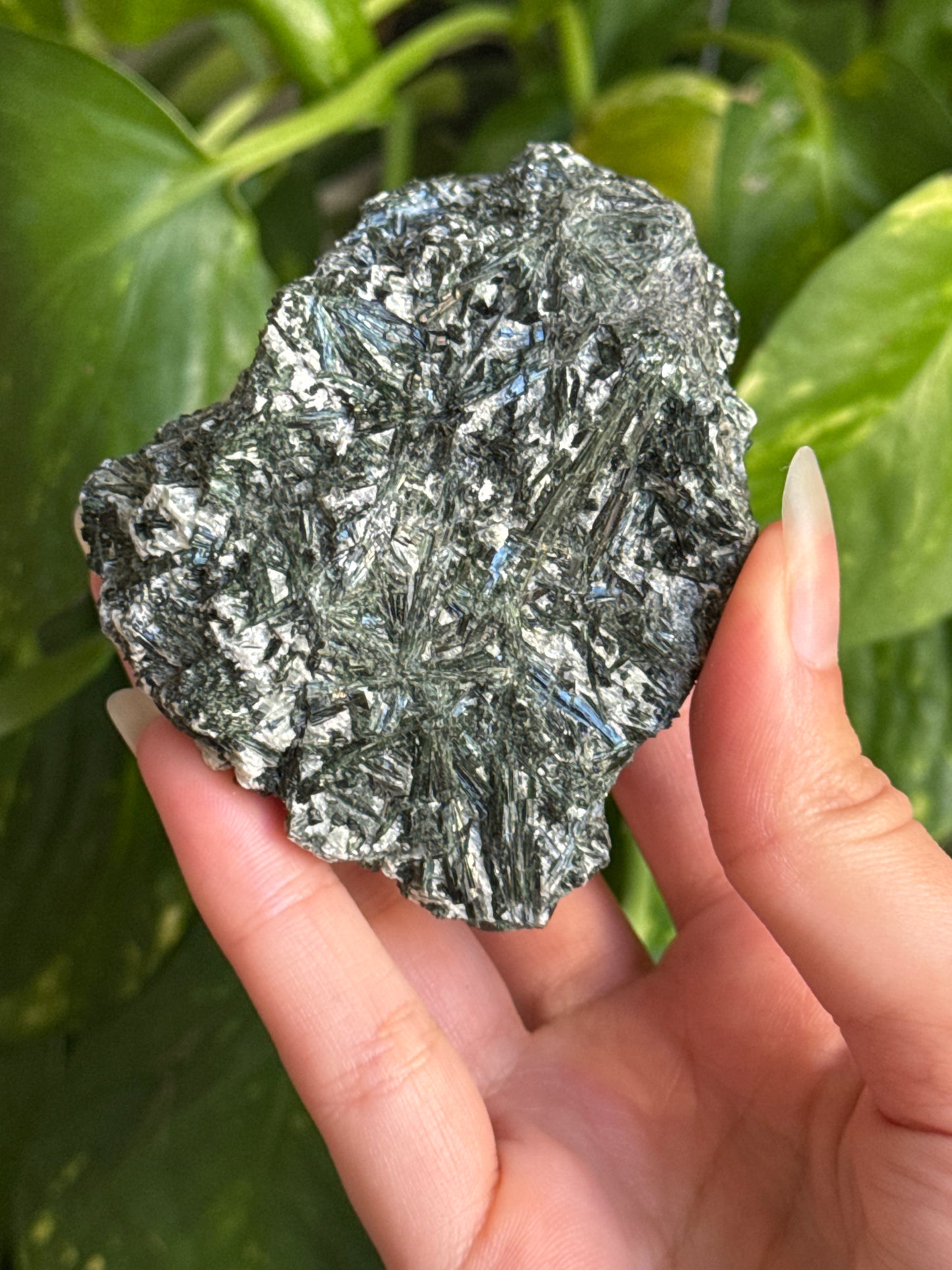 Exposed Actinolite on Quartz Specimen B