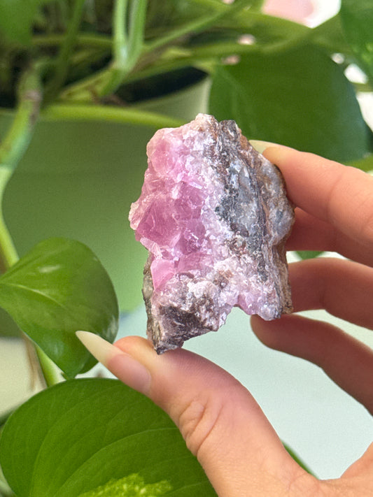 Rare Pink Gel Cobalto Calcite Specimen D