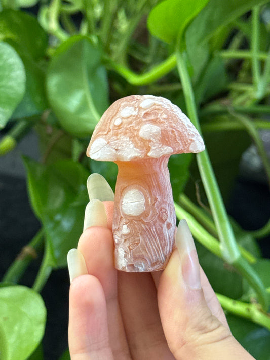 Gobi Agate Mushroom