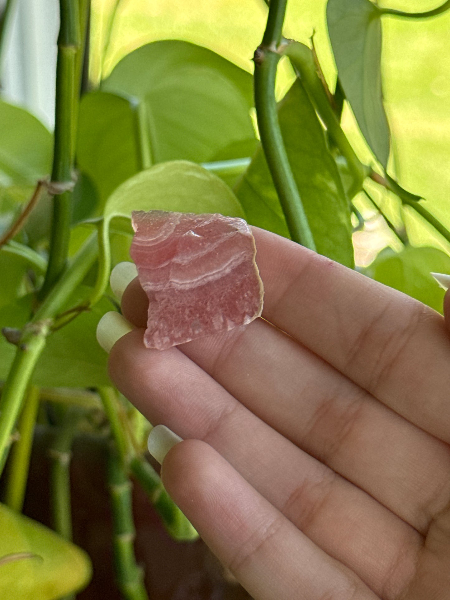 Mini Rhodochrosite Slab