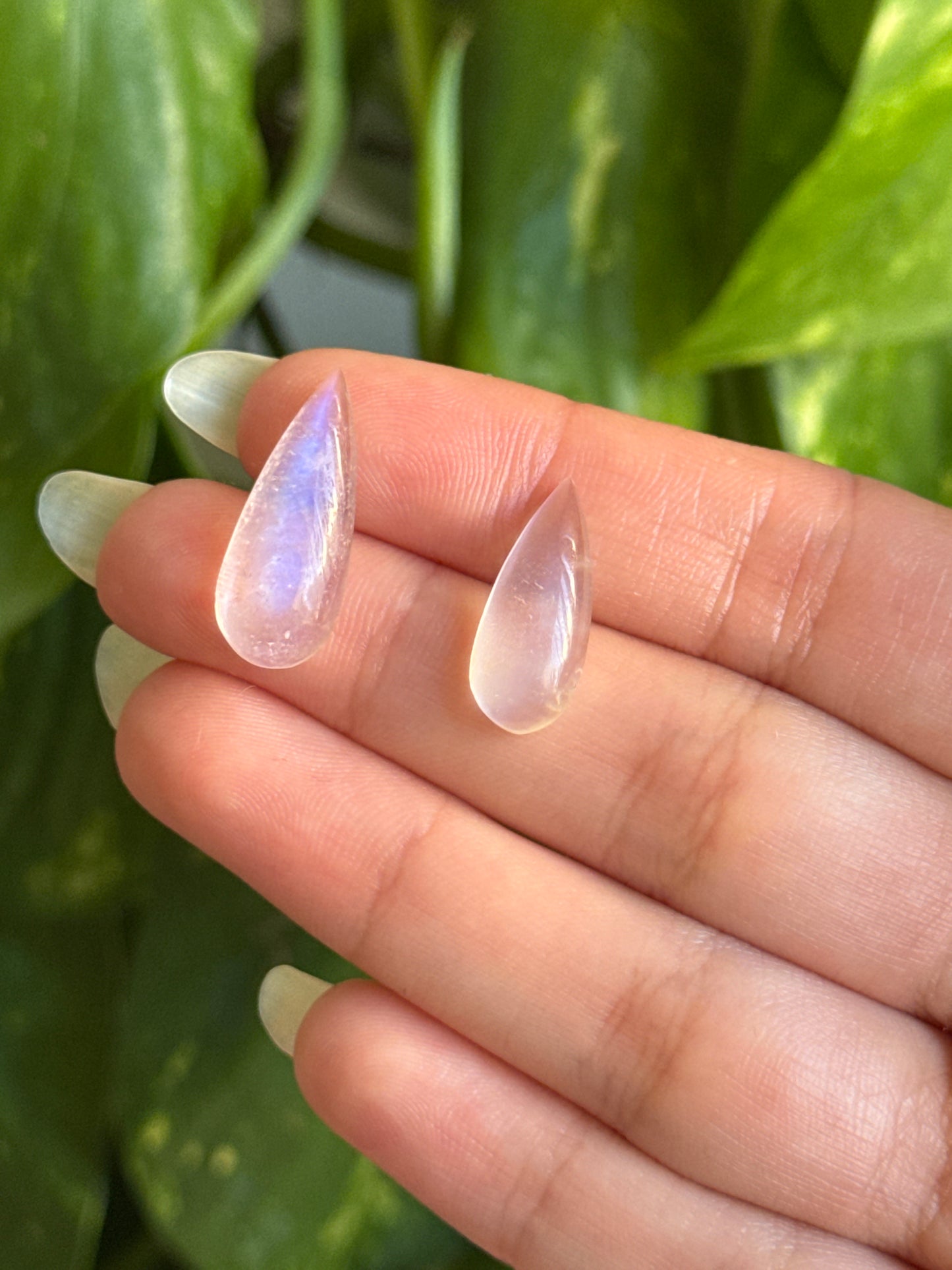 High Grade Moonstone Teardrop