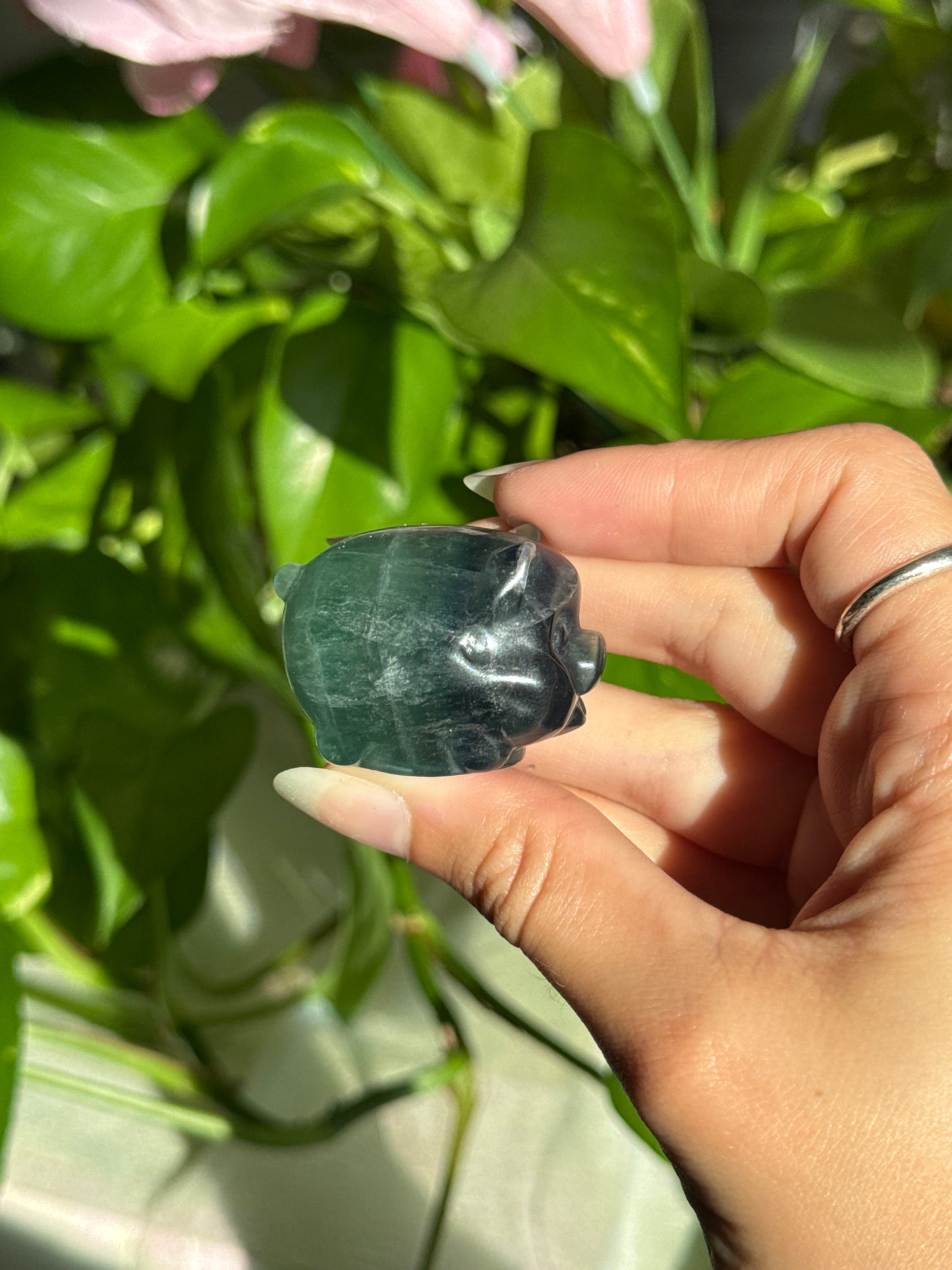 Fluorite Chubby Pig