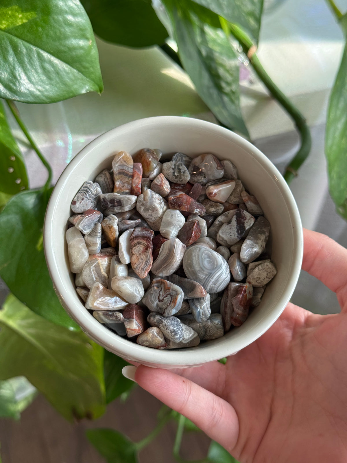 Crazy Lace Agate Chips