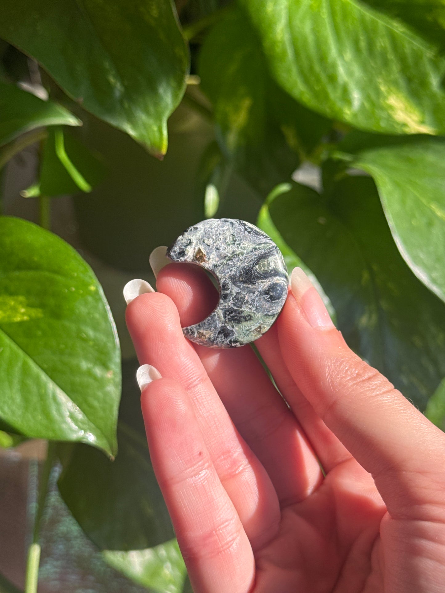 Kambaba Jasper Mini Crescent Moon