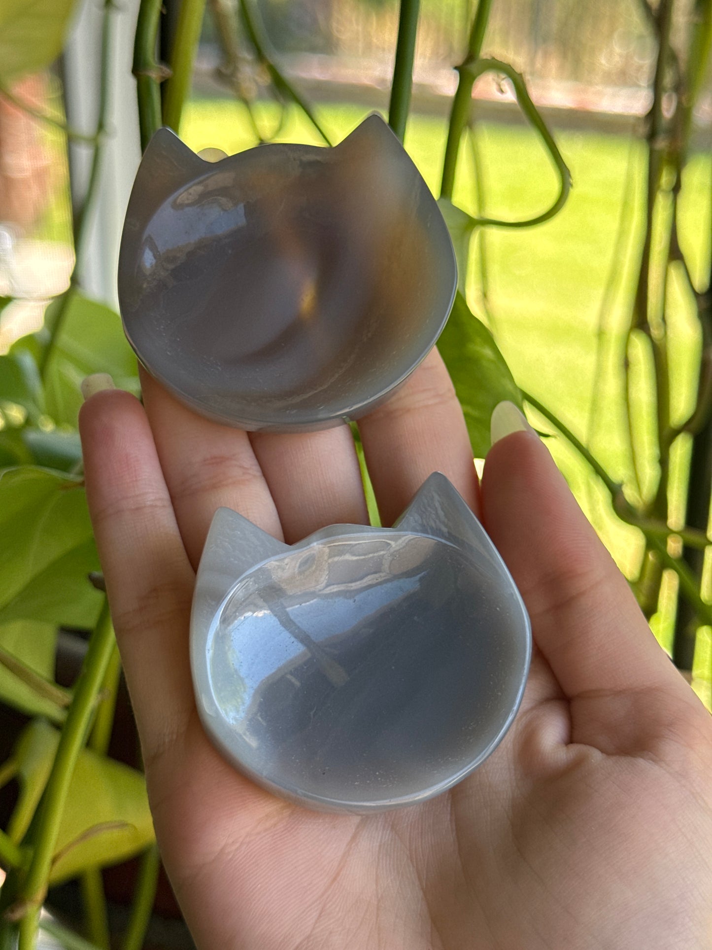 Agate Kitty Bowl