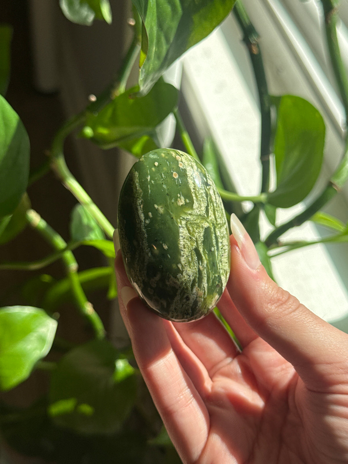 Swiss Green Opal Palmstone