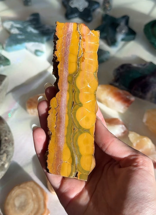 Unique Orbicular Ocean Jasper Slab