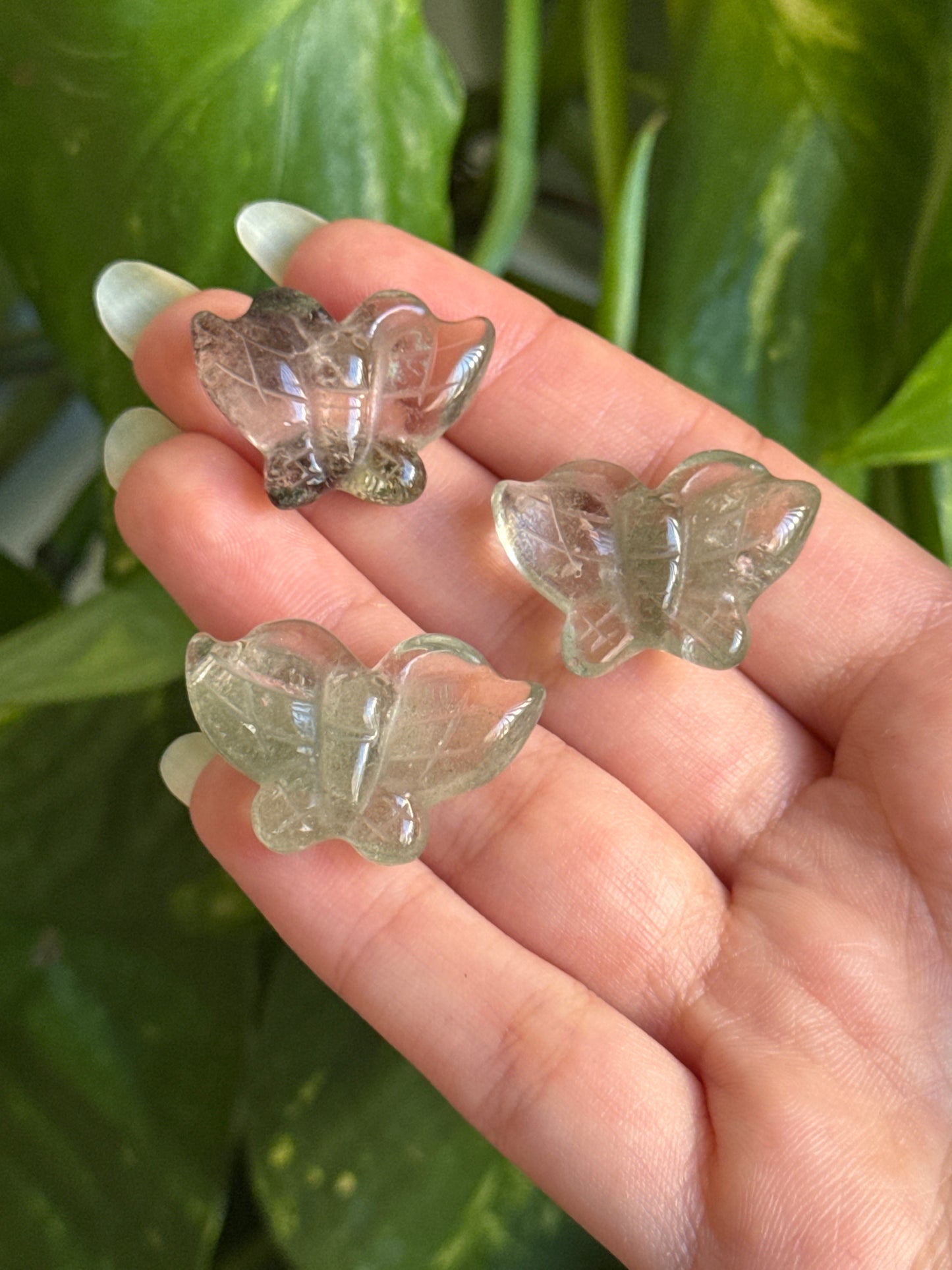 Garden Quartz Butterfly