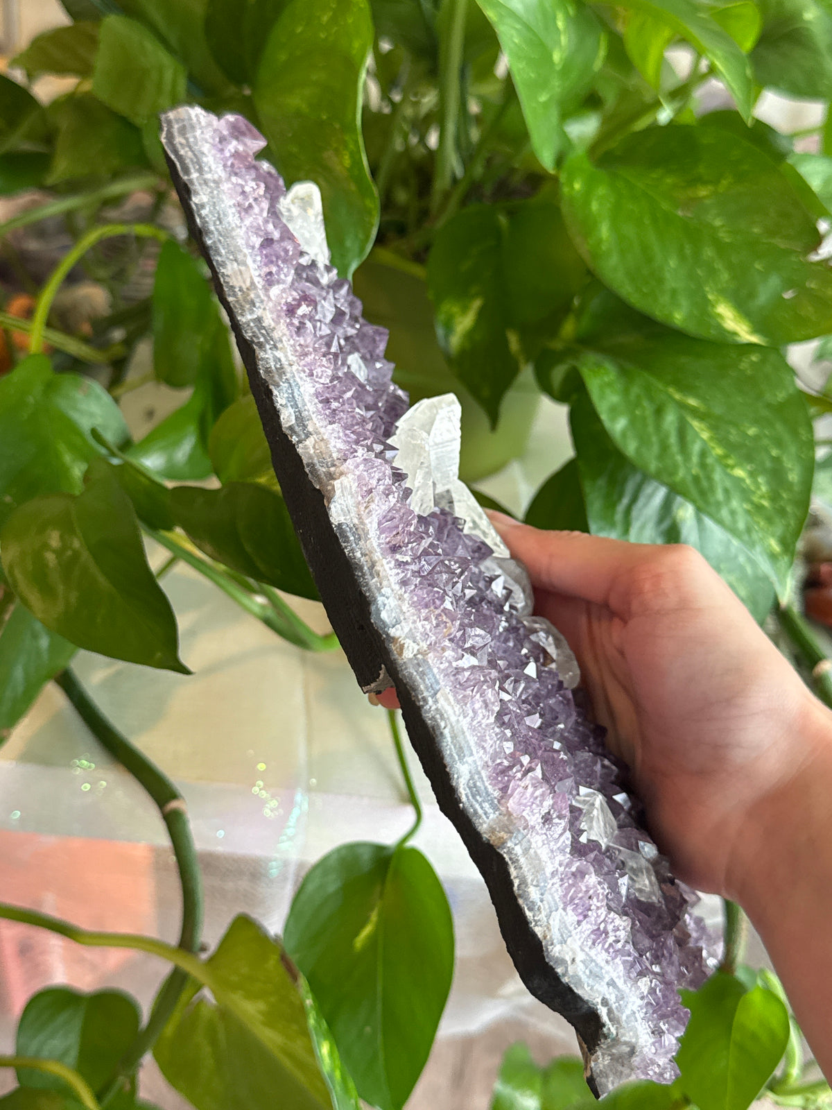 Statement High Grade Sparkly Amethyst Specimen with Calcite