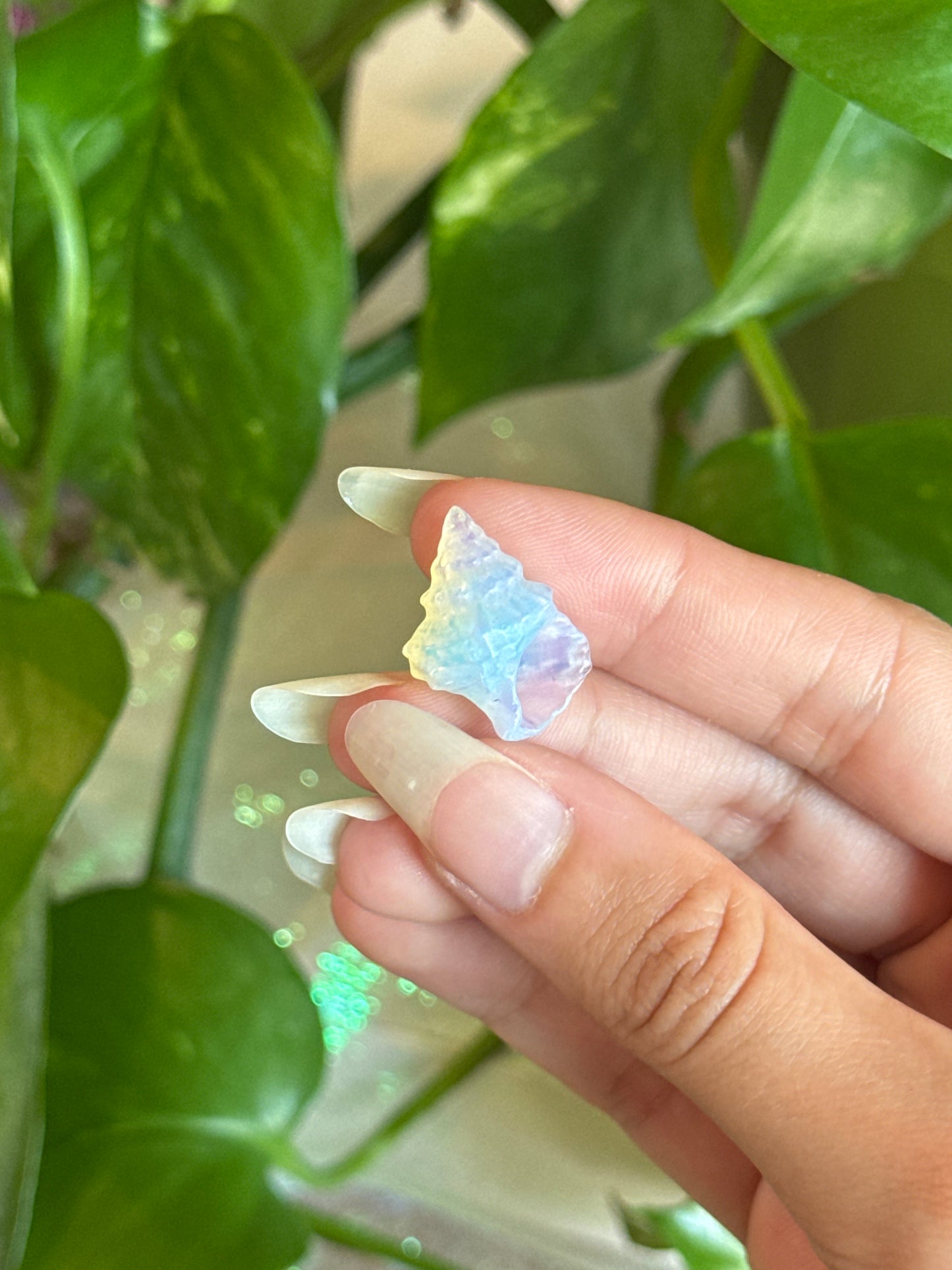 Opalite Shell