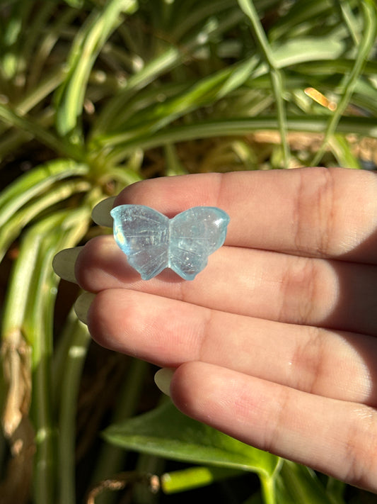 Aquamarine Mini Butterfly