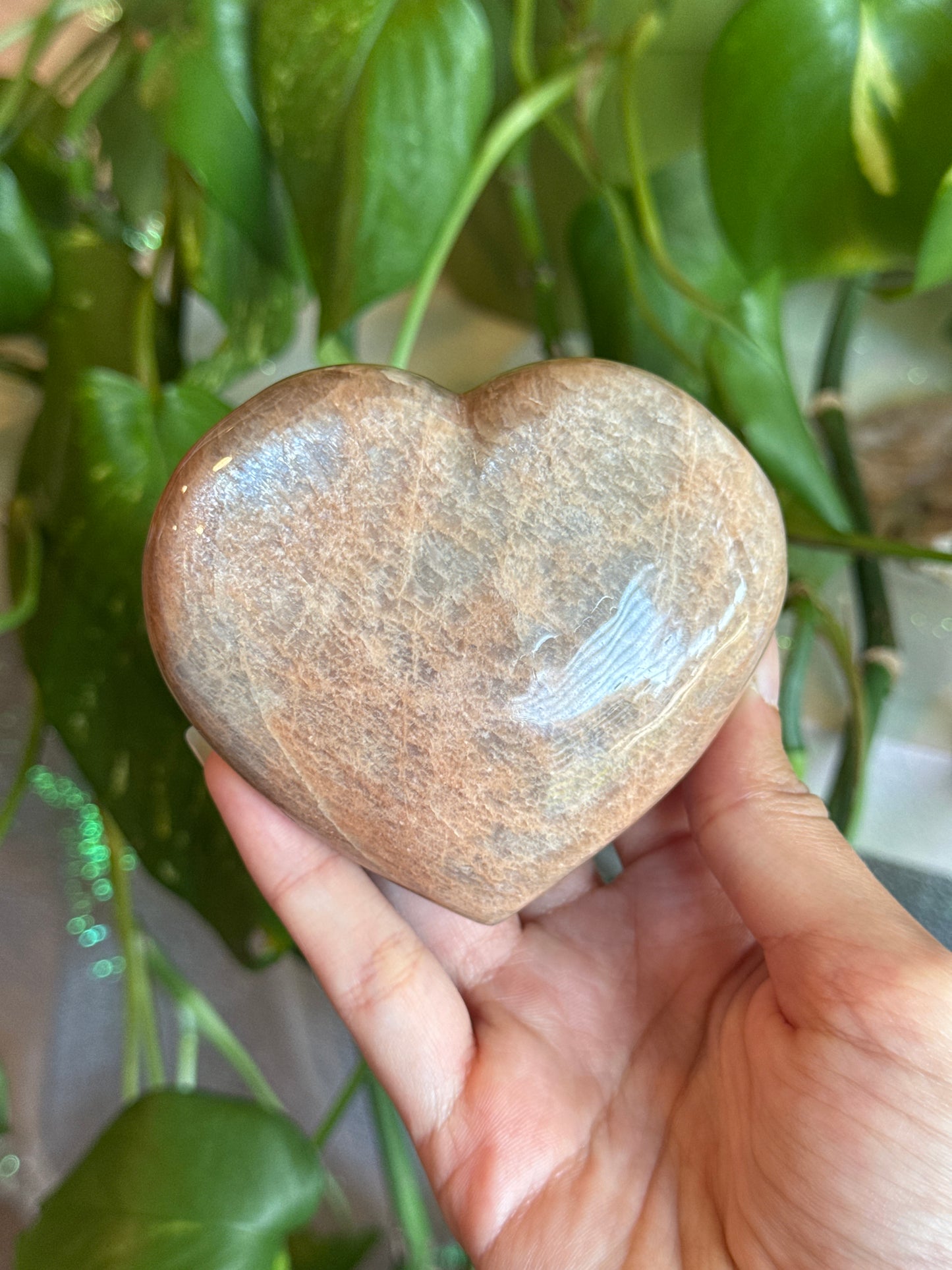 Chubby Flashy Peach Moonstone Heart