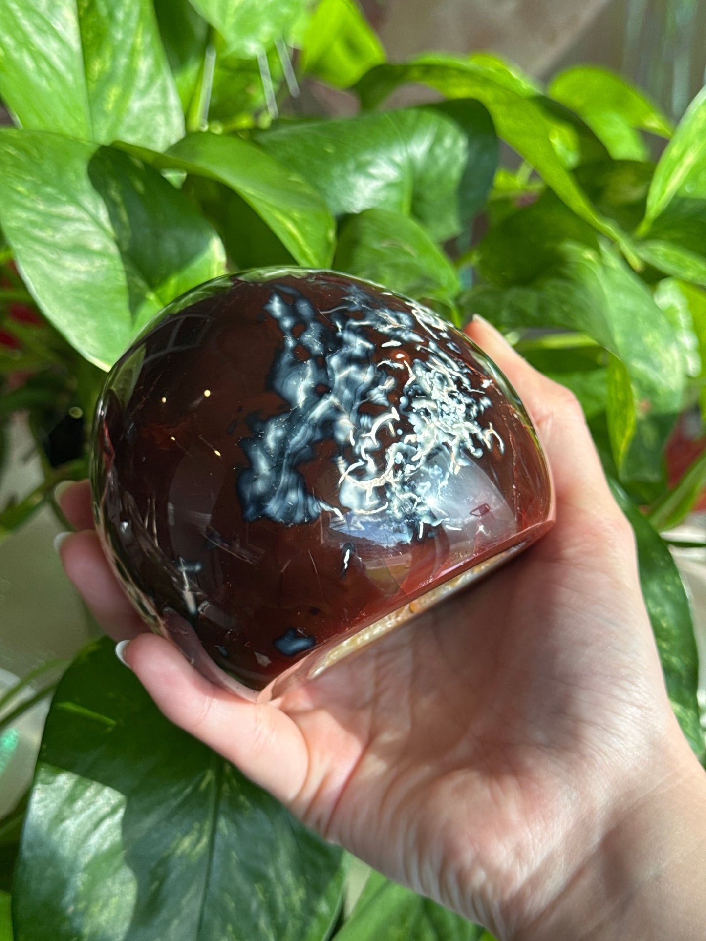 Unique Carnelian & Orca Agate Druzy Cave Freeform