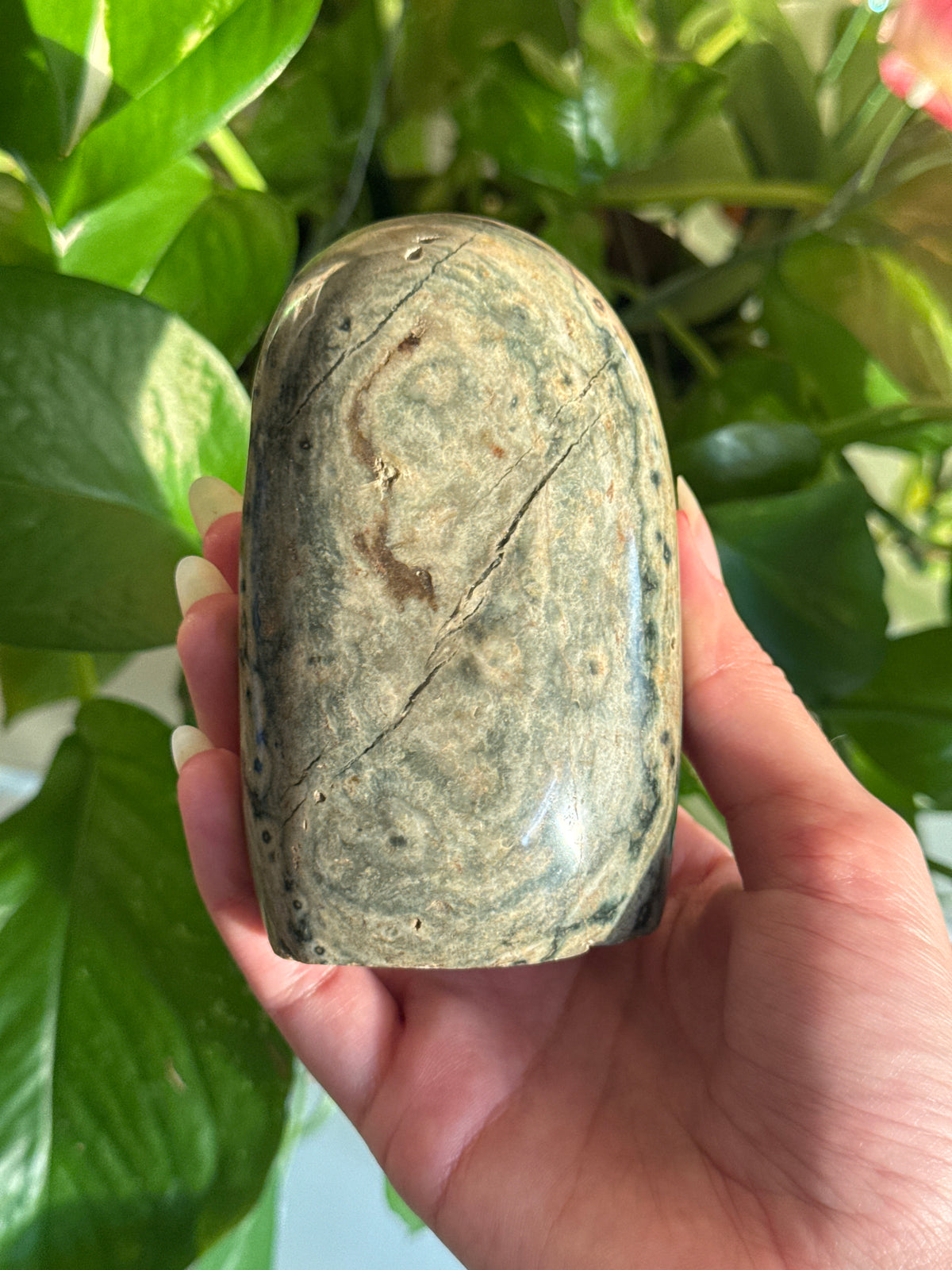 Green Flowering Sea Jasper Freeform