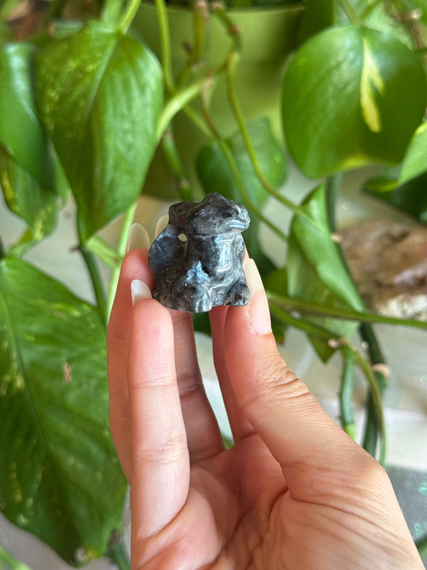 Larvakite Toothless Carving