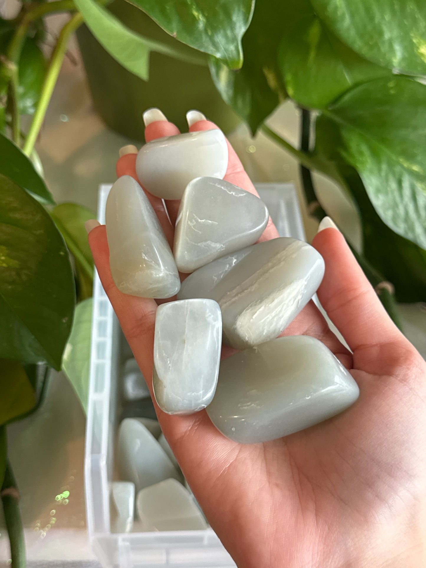 Sage Moonstone Freeform