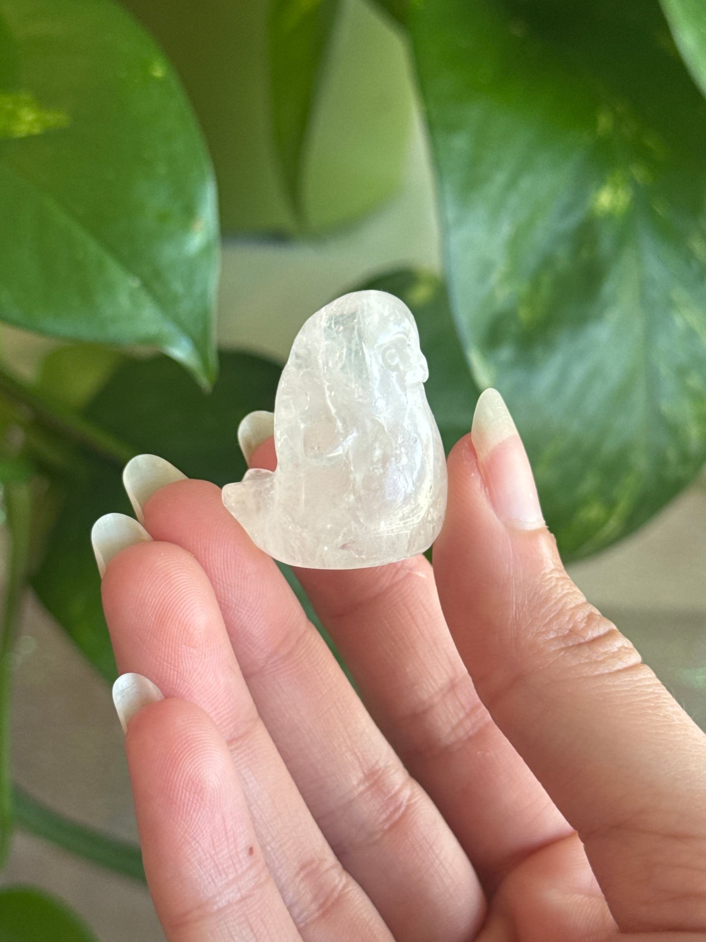 Clear Quartz Chubby Seal