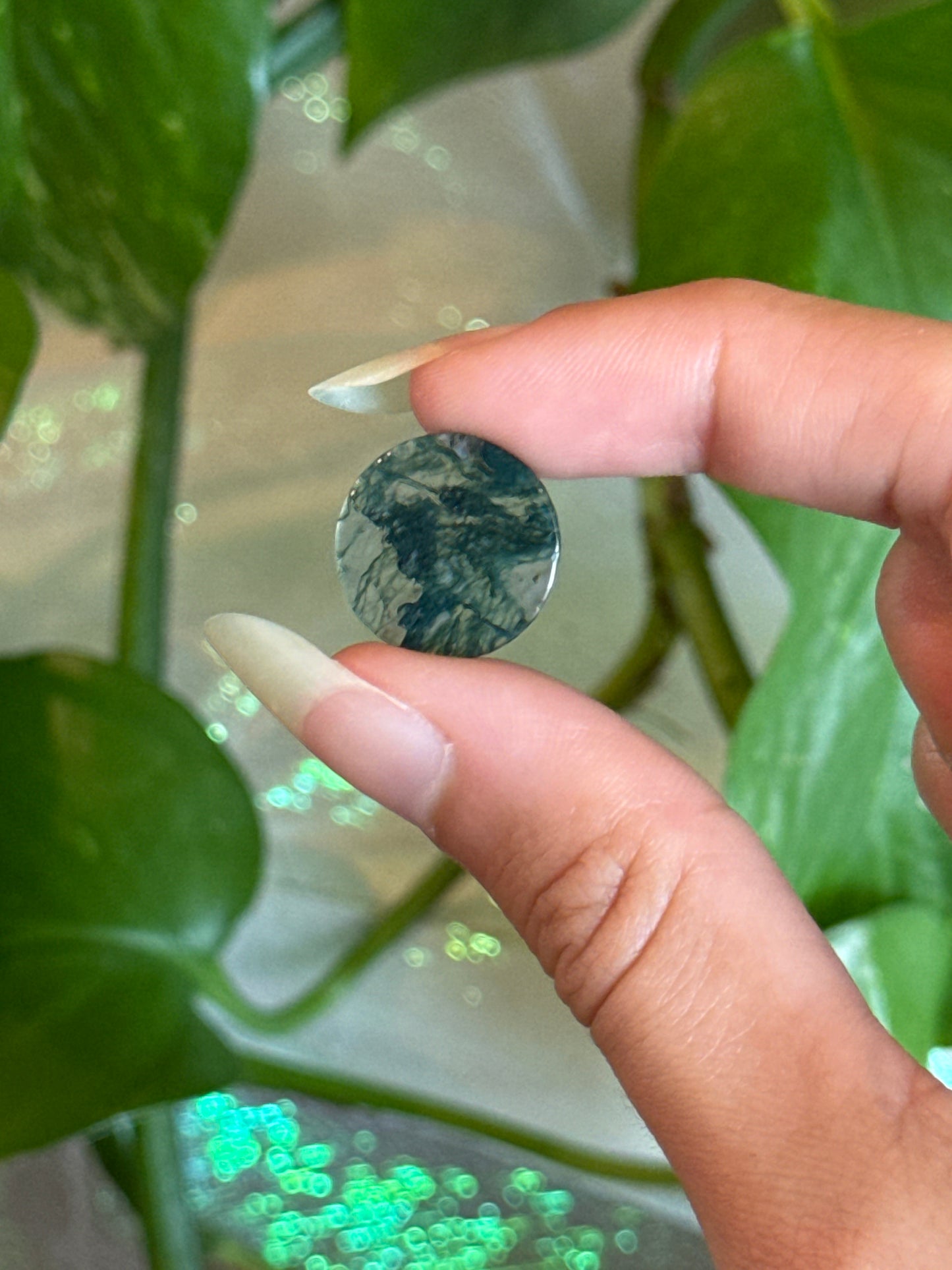 High Grade Moss Agate Disk
