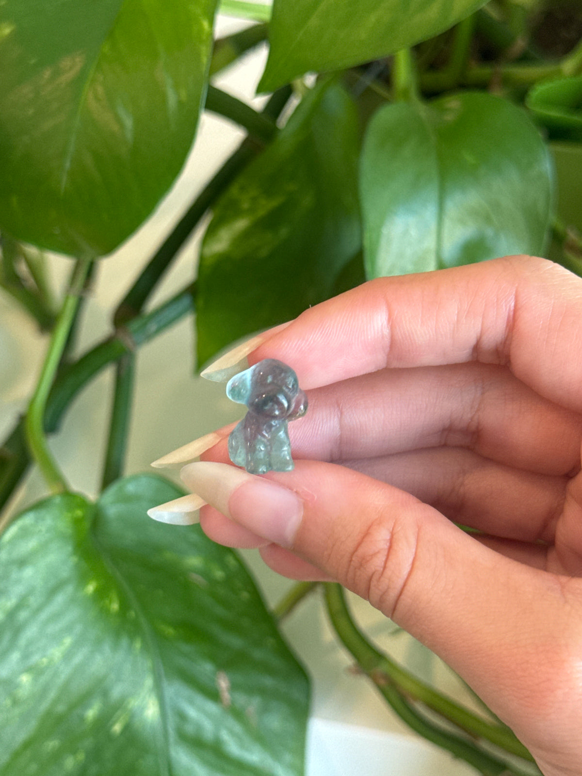 Fluorite Dog A