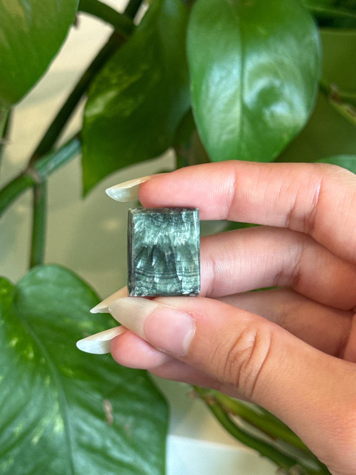 Flashy Serephanite Rectangle Cab