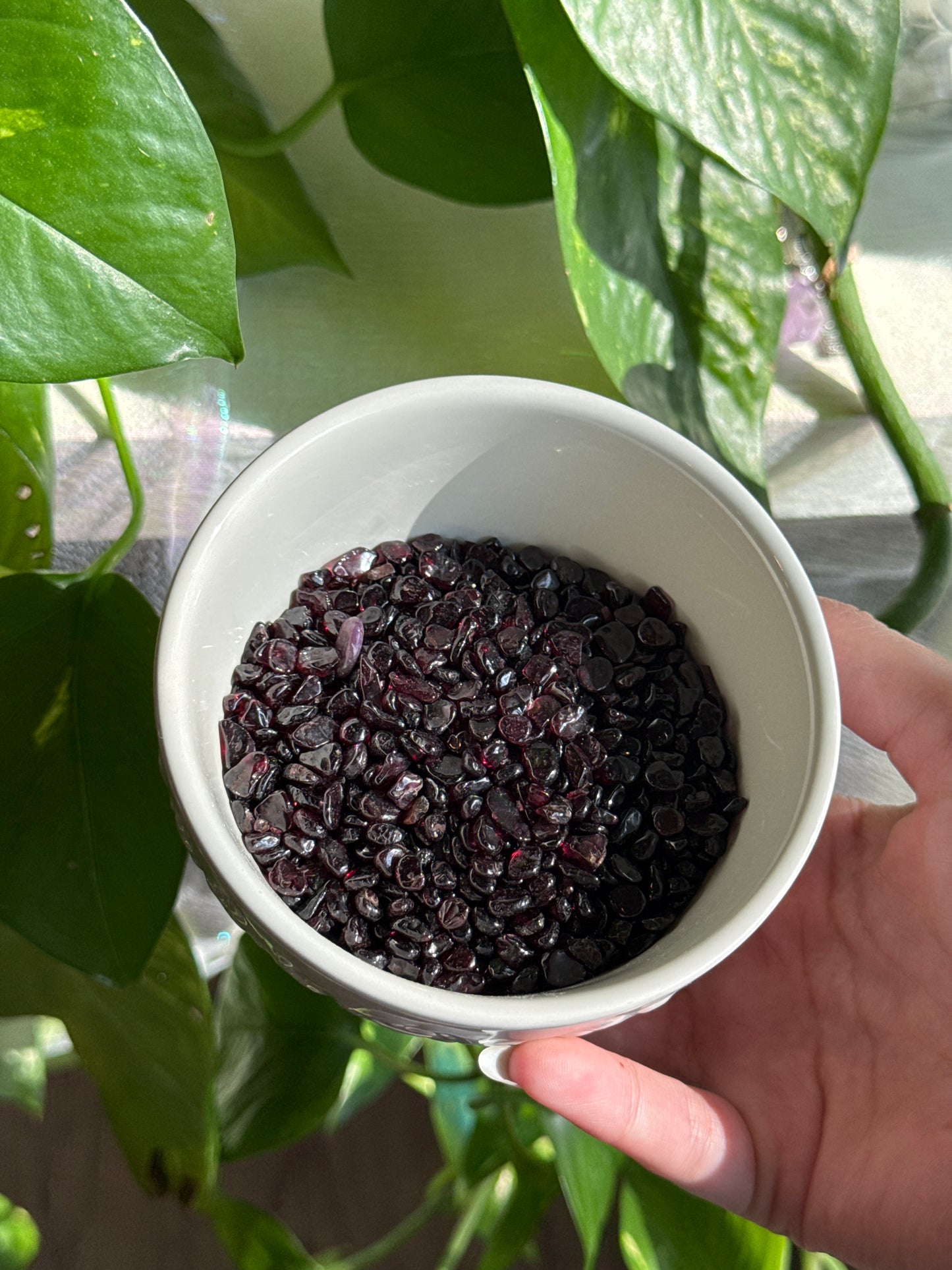 Garnet Chips