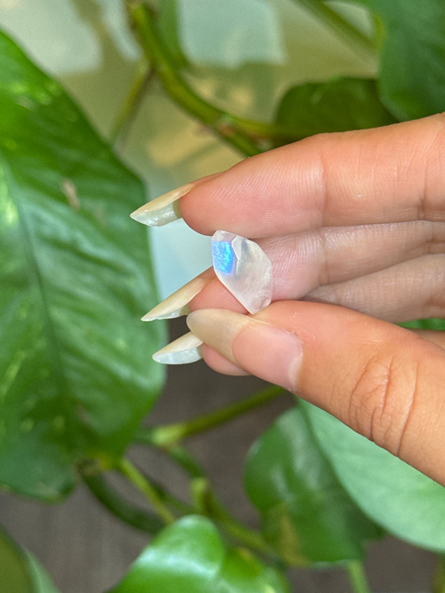 High Grade Flashy Moonstone Freeform