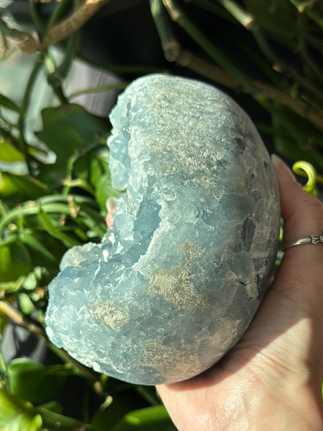 XL Celestite Egg Geode