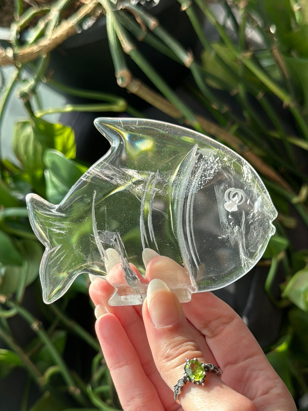 High Grade Brazilian Clear Quartz Fish-Self Standing