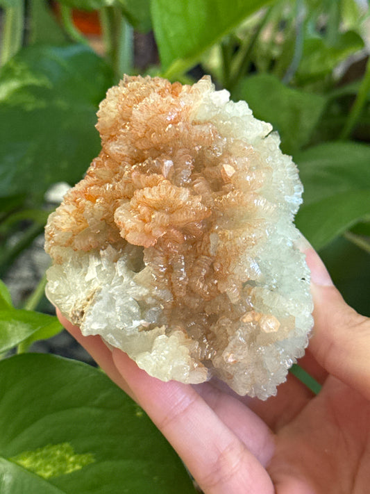 Crystallized Prehnite With Iron Inclusions
