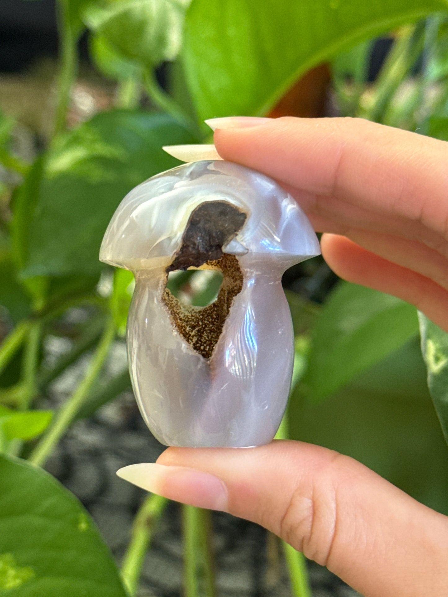 Druzy Cave Agate Mushroom B