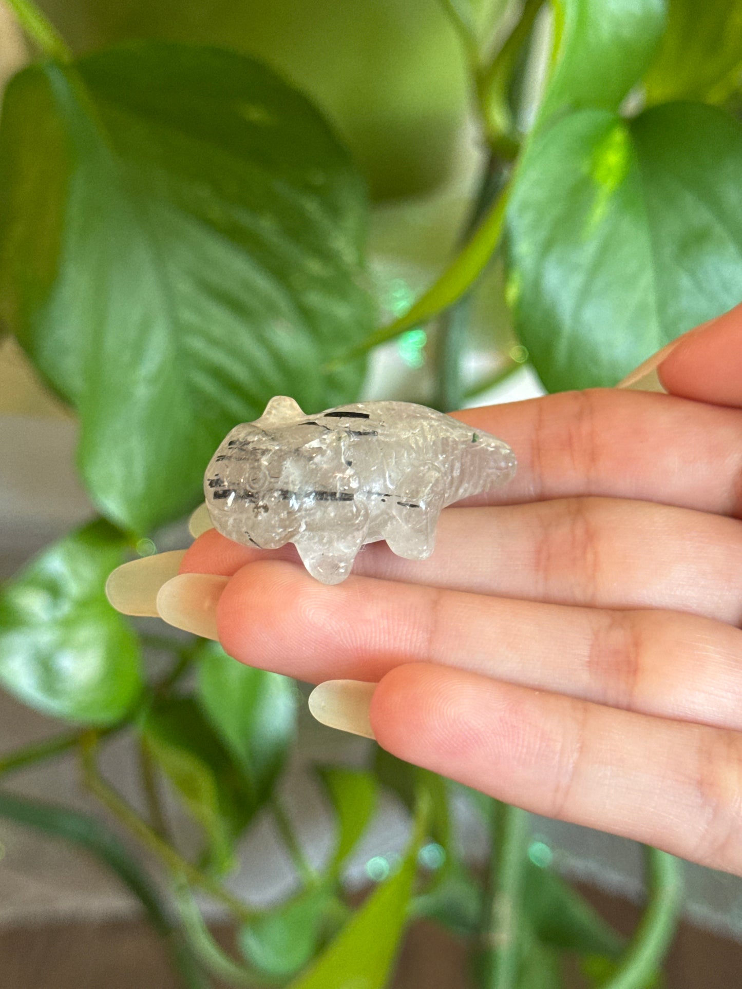 Clear Quartz and Black Tourmaline Axolotl