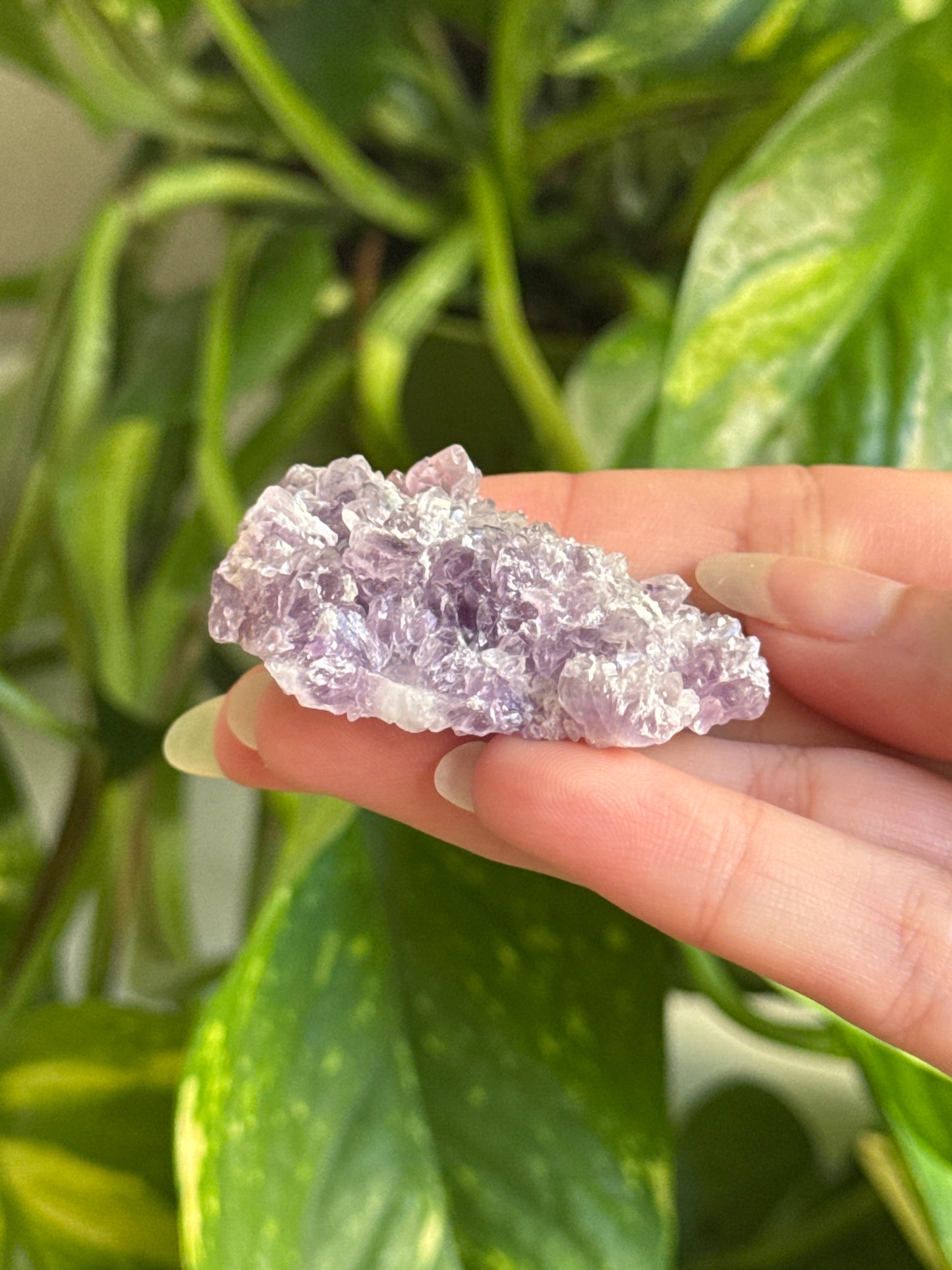 Amethyst Cluster C