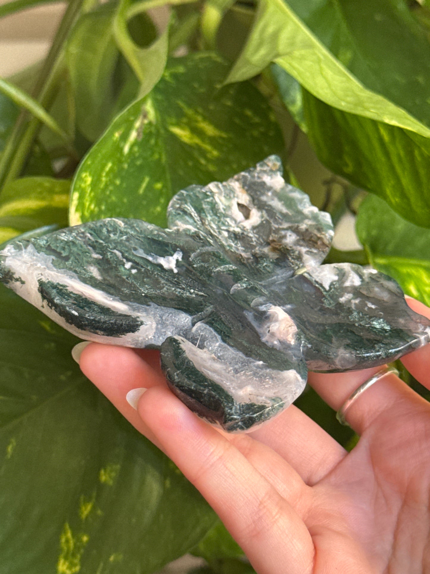 Moss Agate Butterfly Bowl