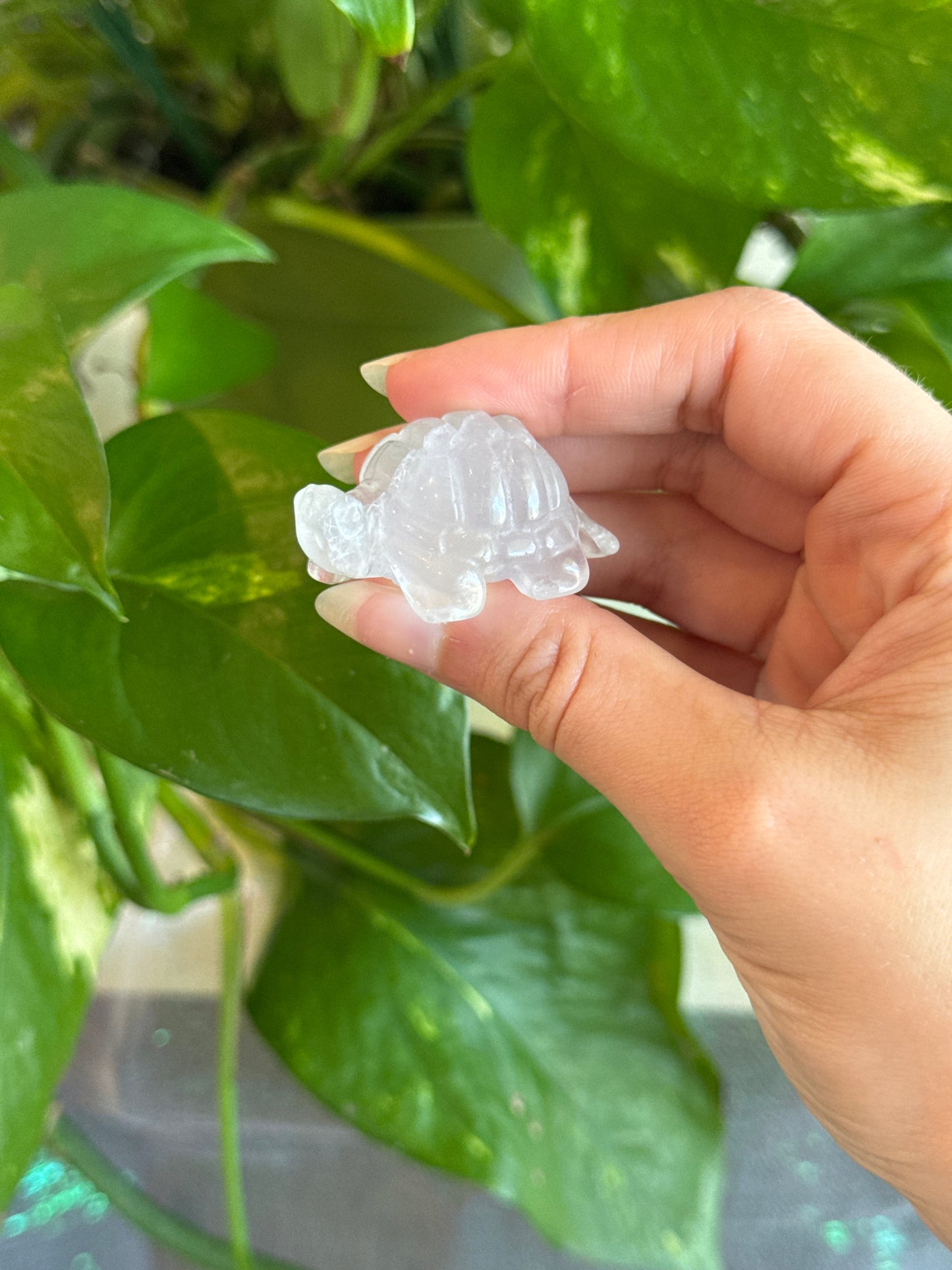 Super Clear Yttrium Fluorite Tortoise Carving