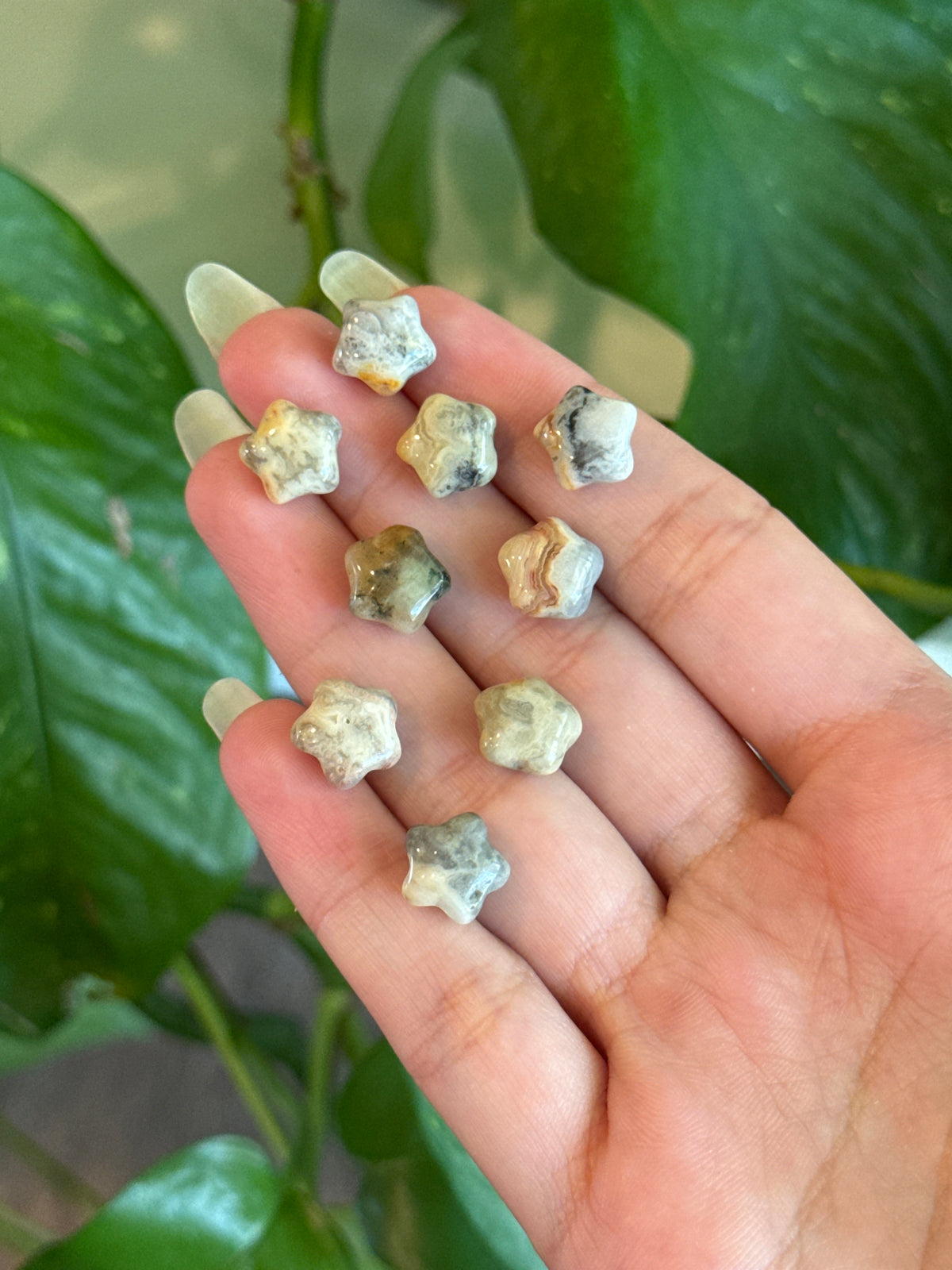 Crazy Lace Agate Whimsy Mini Star