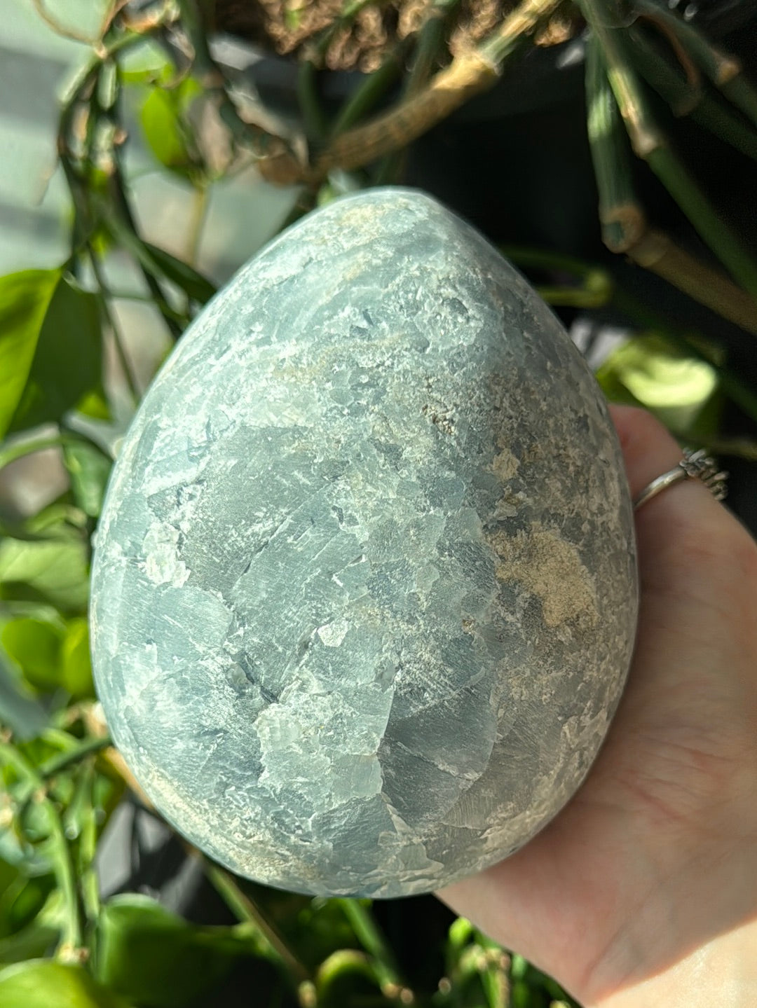 XL Celestite Egg Geode