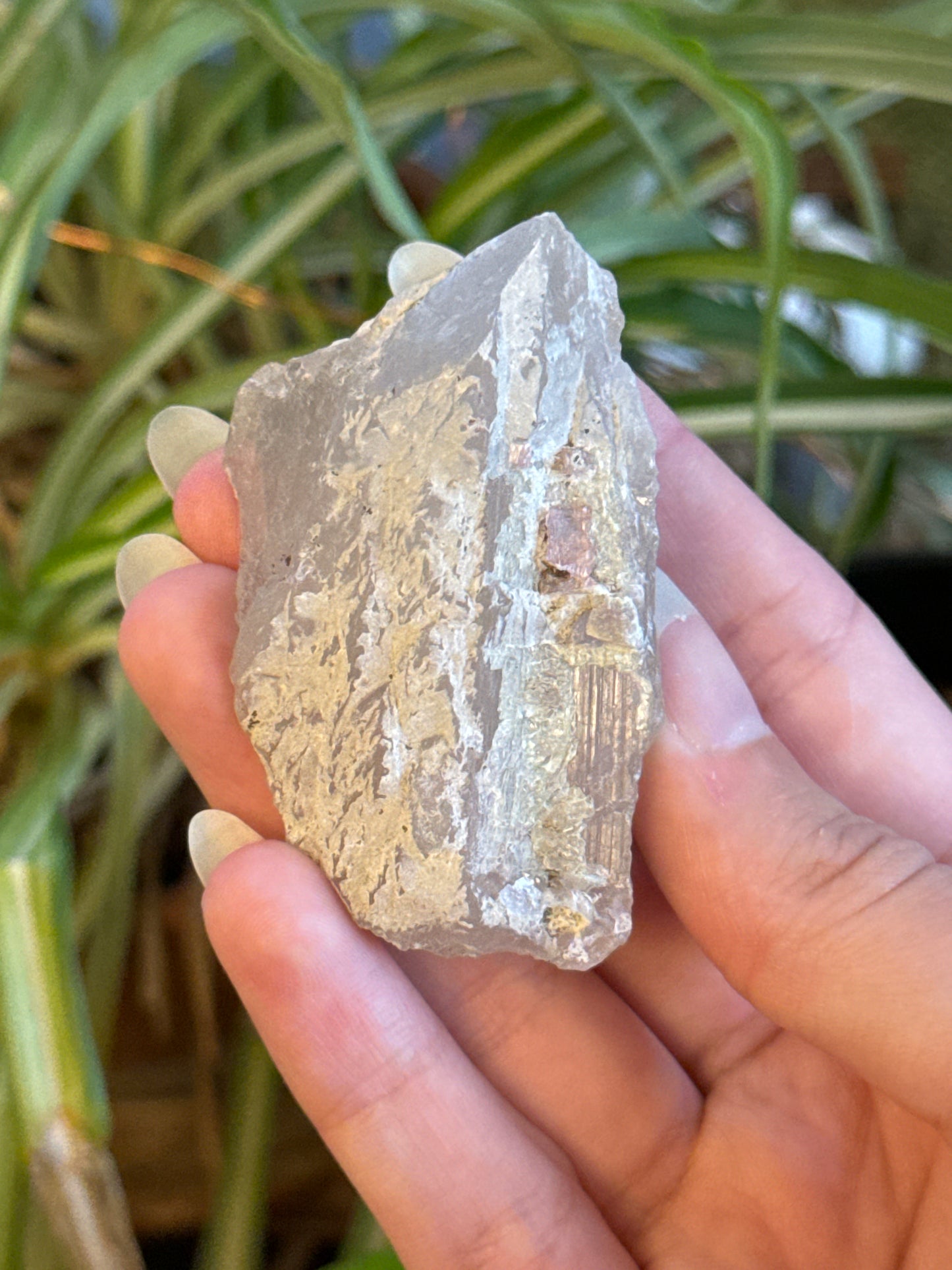 Pink Tourmaline in Smoky Quartz Specimen