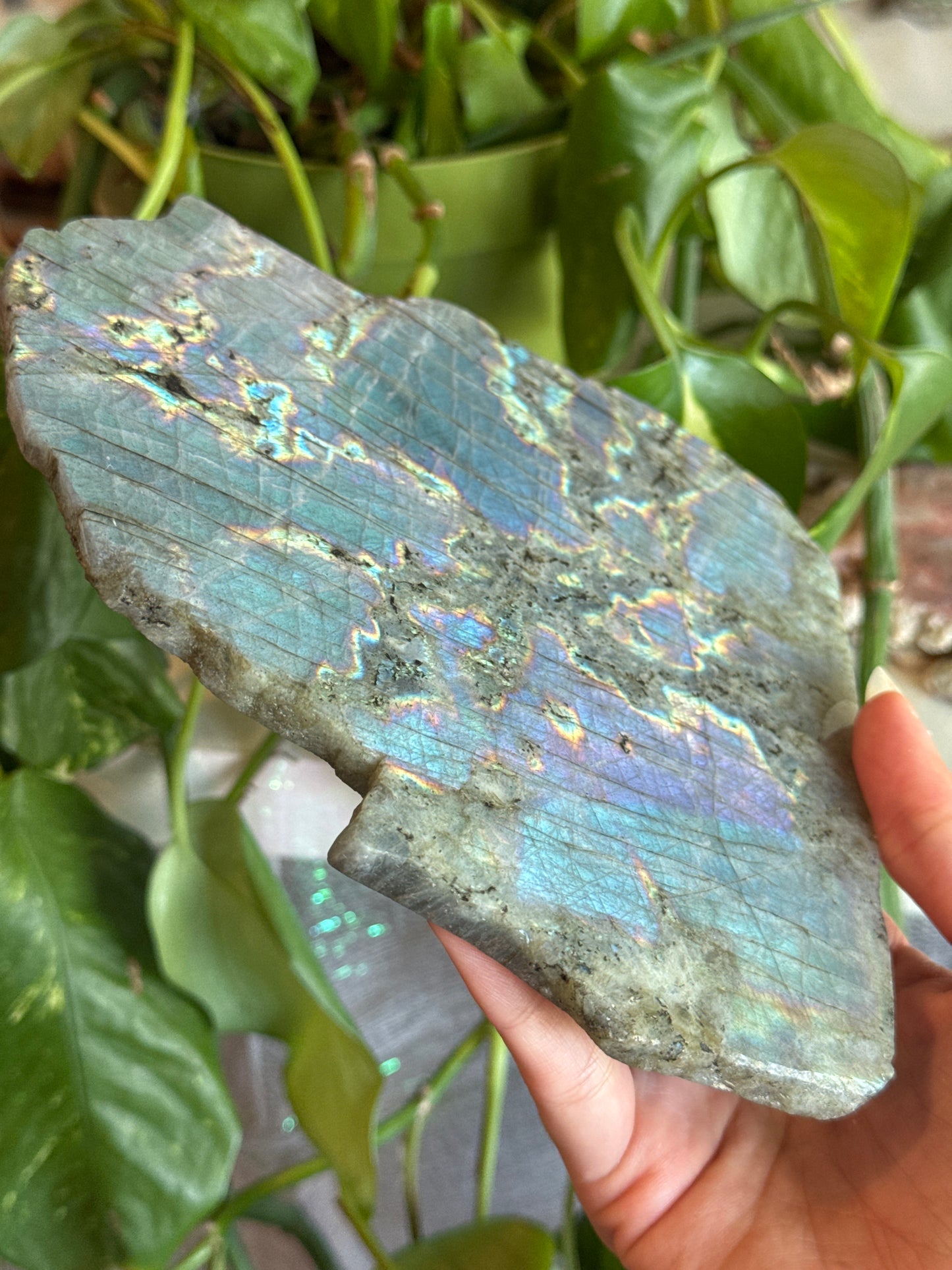 Flashy Mermaid Labradorite Slab