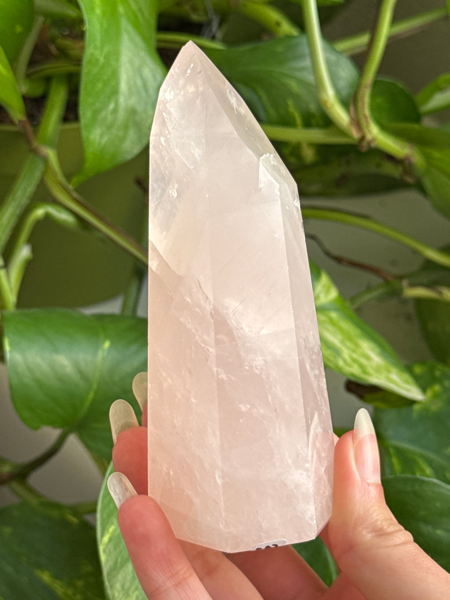 Rose Quartz Tower